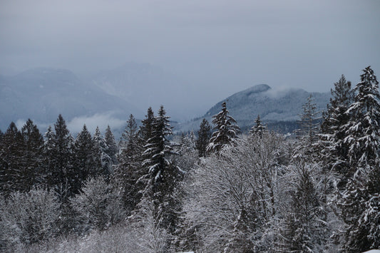 Snow Storms and Connection