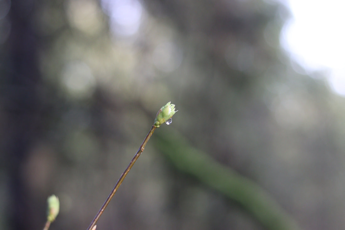 Colder Months and Signs of Hope